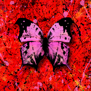 免费黄色app大全
